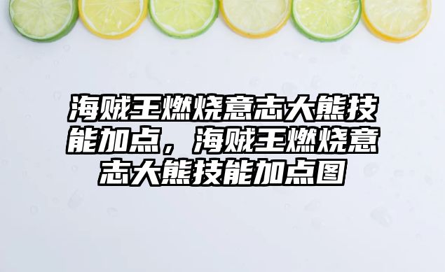 海賊王燃燒意志大熊技能加點，海賊王燃燒意志大熊技能加點圖