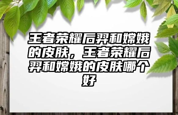 王者榮耀后羿和嫦娥的皮膚，王者榮耀后羿和嫦娥的皮膚哪個好