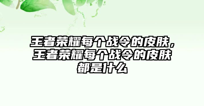 王者榮耀每個戰令的皮膚，王者榮耀每個戰令的皮膚都是什么