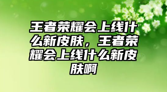 王者榮耀會上線什么新皮膚，王者榮耀會上線什么新皮膚啊