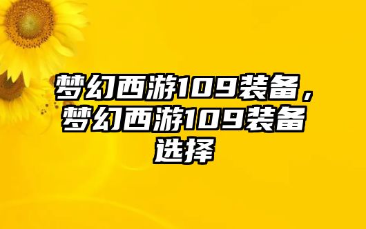 夢幻西游109裝備，夢幻西游109裝備選擇