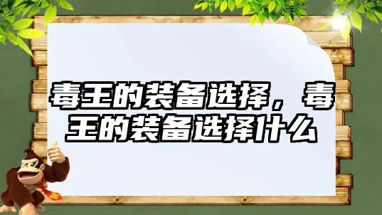 毒王的裝備選擇，毒王的裝備選擇什么