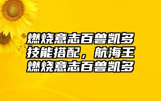 燃燒意志百獸凱多技能搭配，航海王燃燒意志百獸凱多