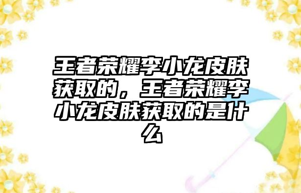 王者榮耀李小龍皮膚獲取的，王者榮耀李小龍皮膚獲取的是什么