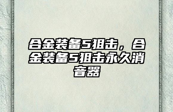 合金裝備5狙擊，合金裝備5狙擊永久消音器