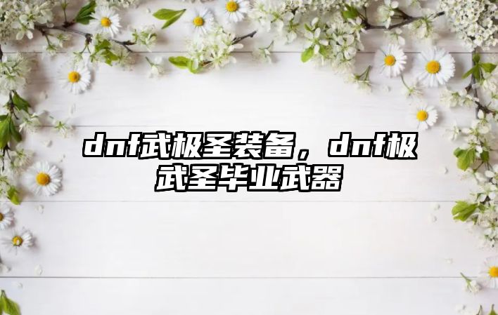 dnf武極圣裝備，dnf極武圣畢業武器