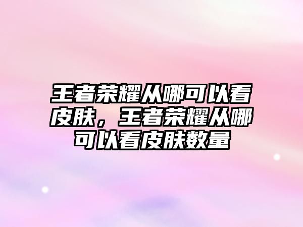 王者榮耀從哪可以看皮膚，王者榮耀從哪可以看皮膚數(shù)量